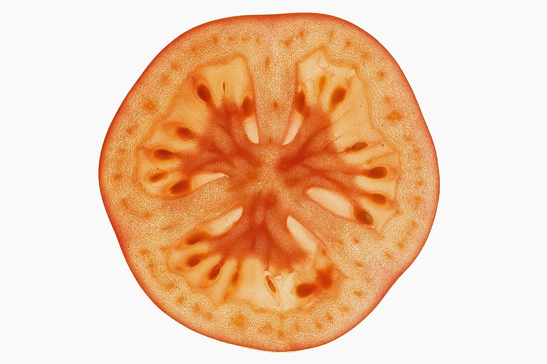 Slice of tomato, backlit