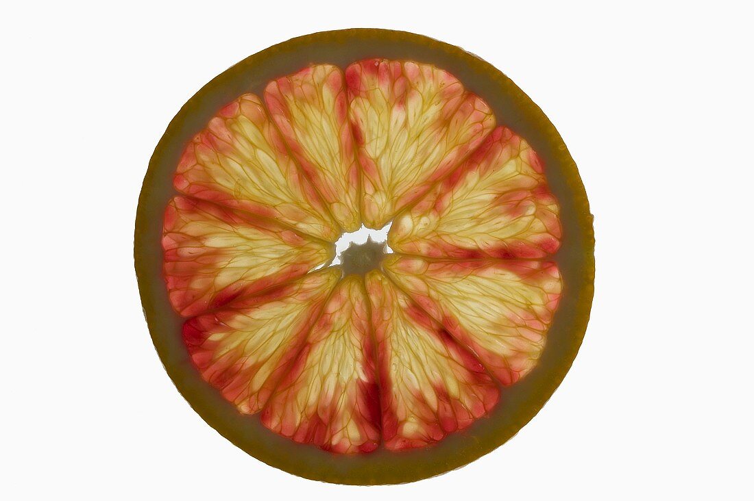 Slice of grapefruit, backlit