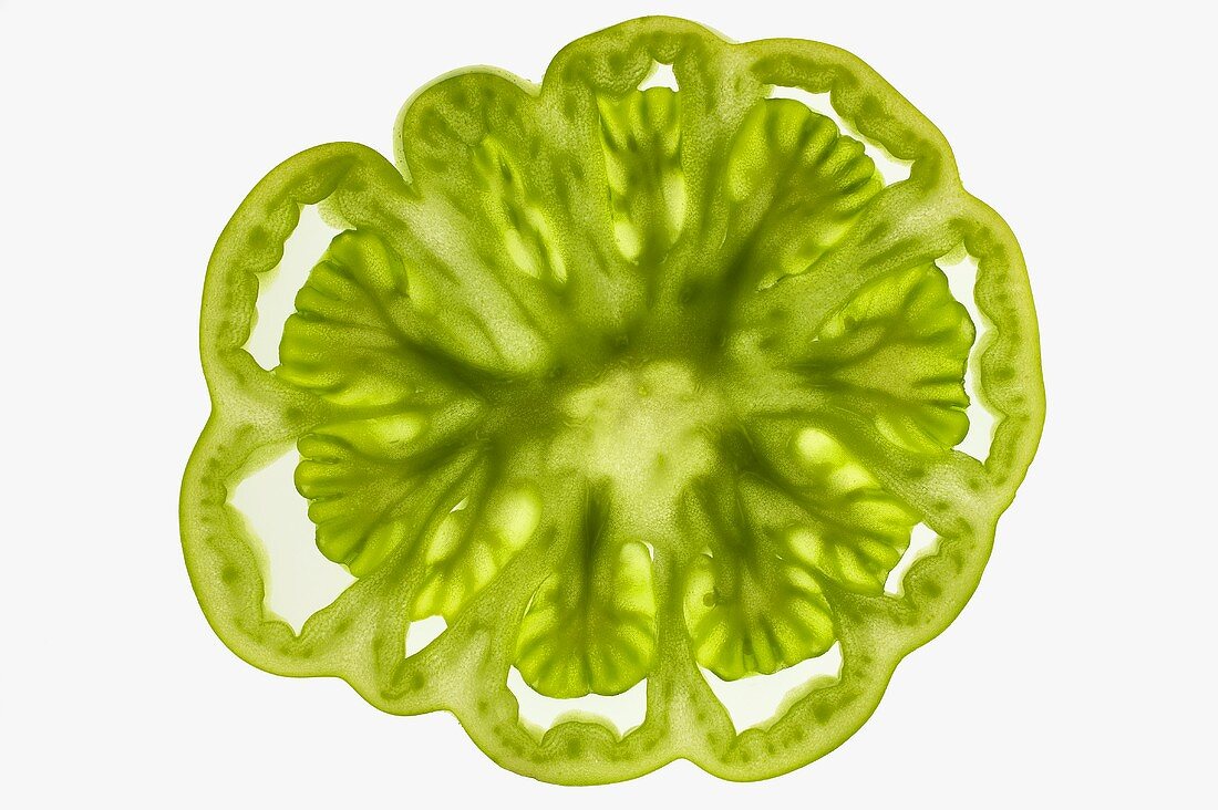 Slice of green tomato (cross-section), backlit