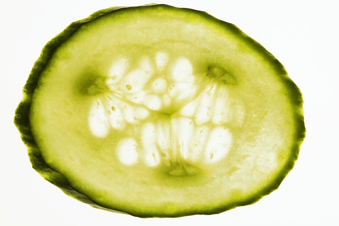 Slice of cucumber, backlit