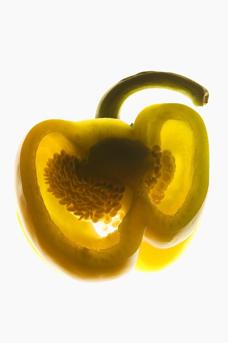 Yellow pepper, backlit