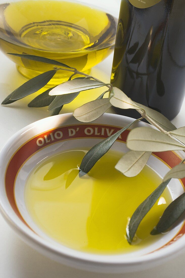 Olive oil in bowl, olive sprig, carafe, bottle