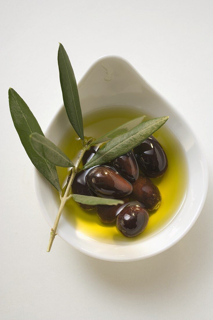 Olivenöl, schwarze Oliven und Olivenzweig in Schale