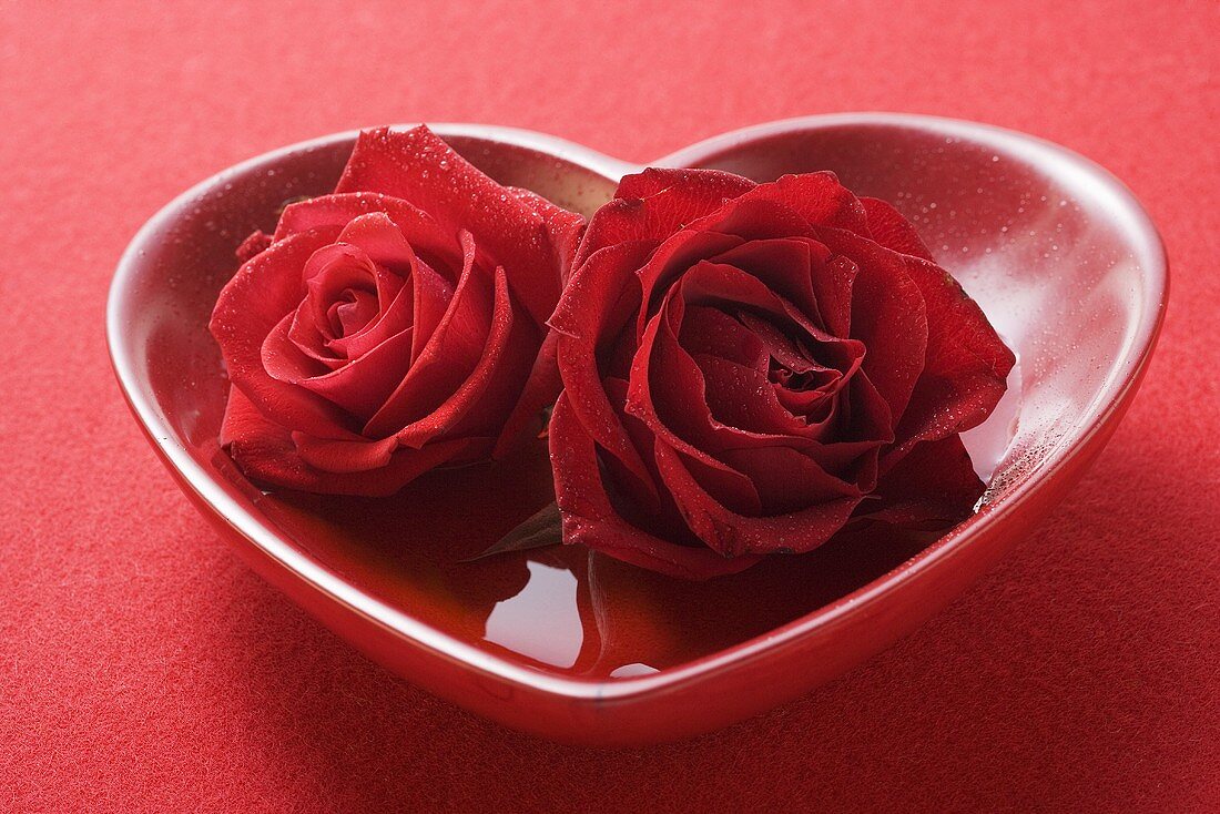 Rote Rosen in herzförmiger Schale