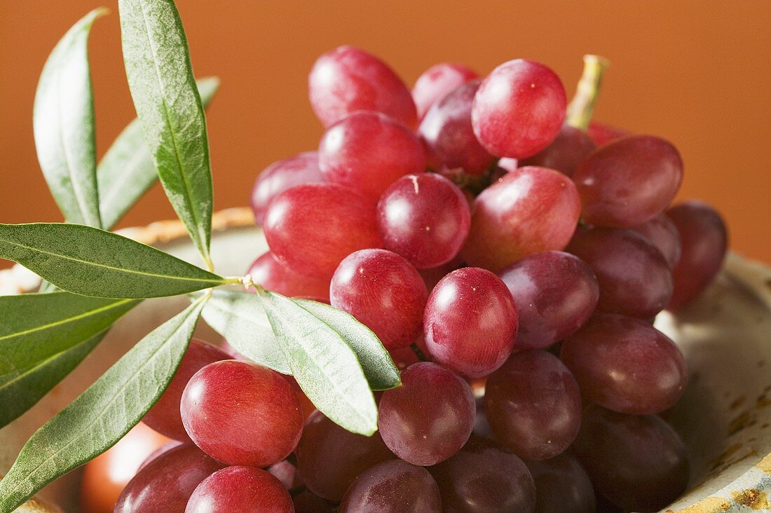 Red grapes in bowl