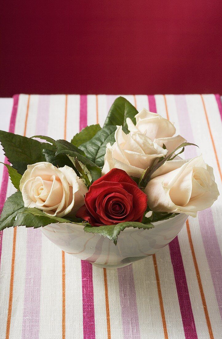 Roses in bowl on striped tablecloth