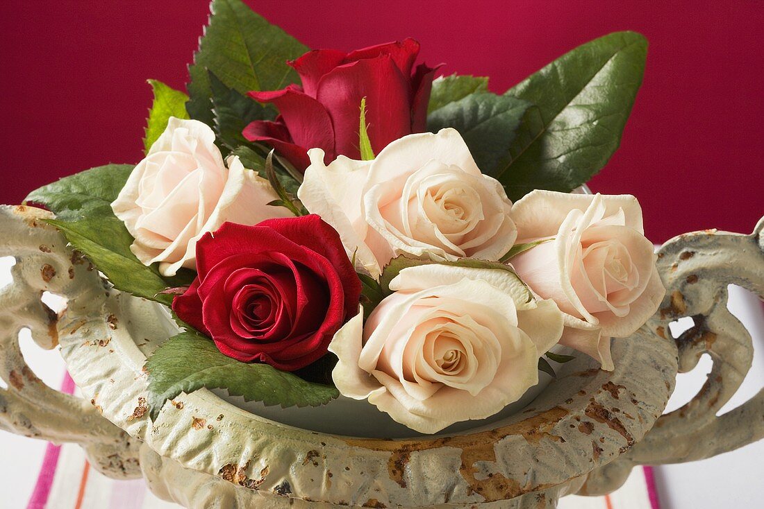 Roses in romantic stone bowl