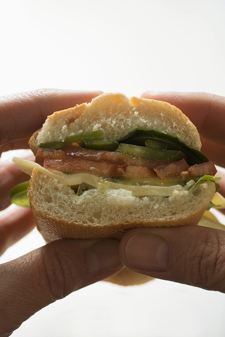 Hands holding baguette with cheese and salad