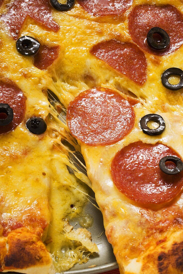 Pizza mit Salami, Käse und Oliven, angeschnitten (Detail)