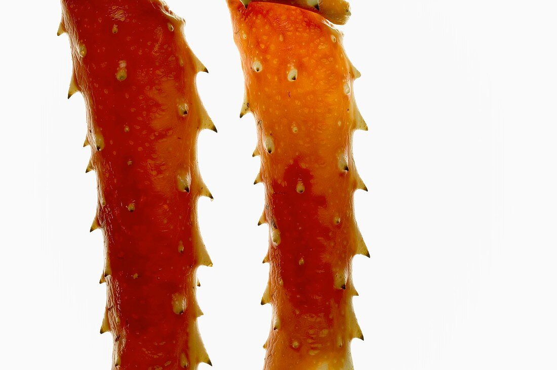 King crab legs (close-up)