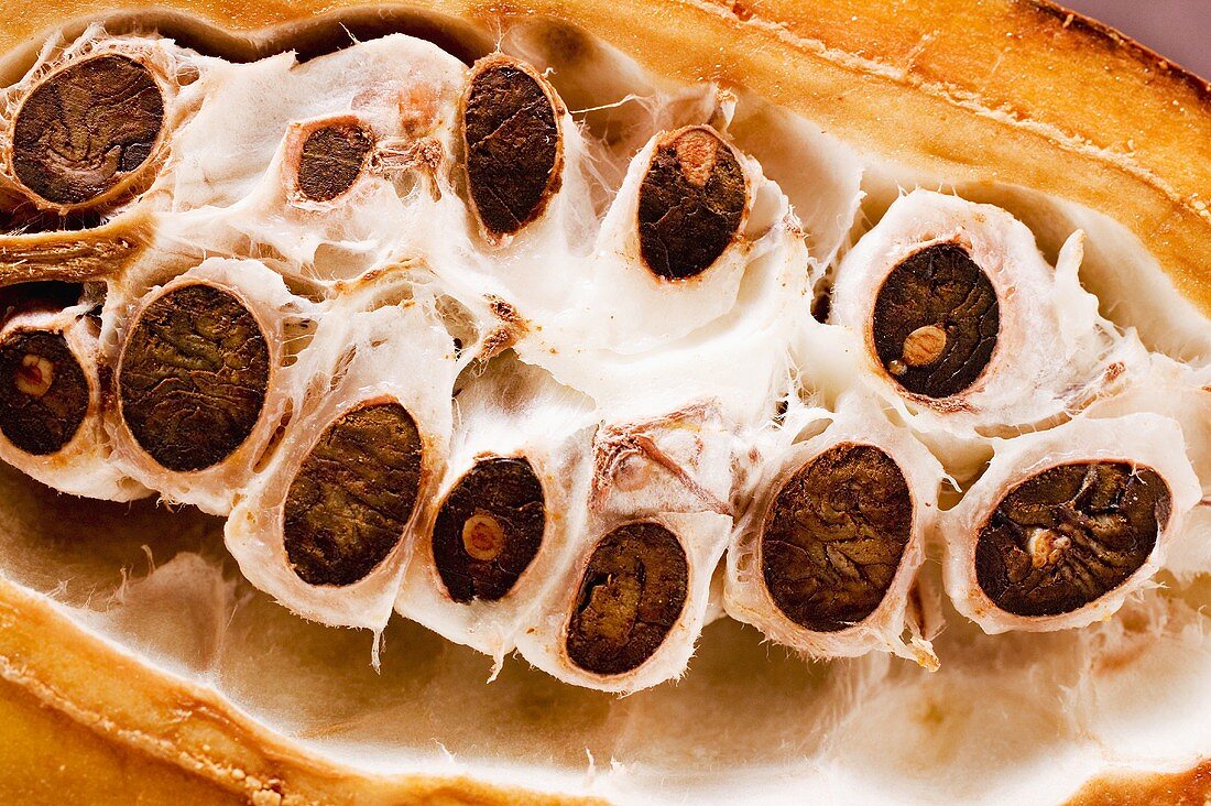 Cacao pod (detail)