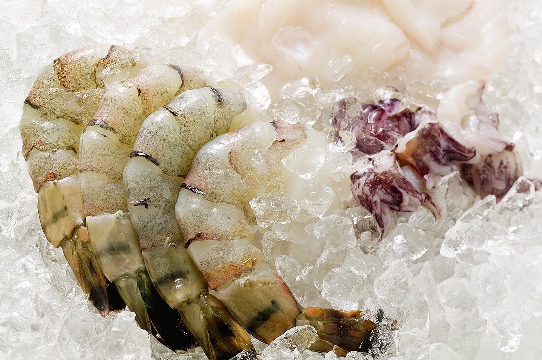 King prawns and squid on ice