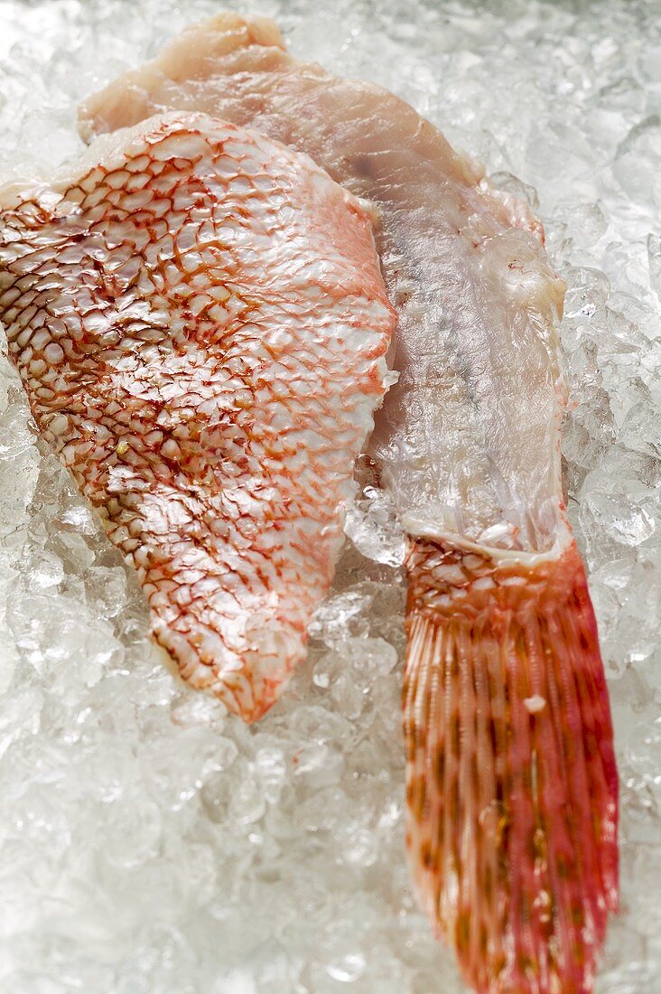 Scorpion fish fillet and fin on ice