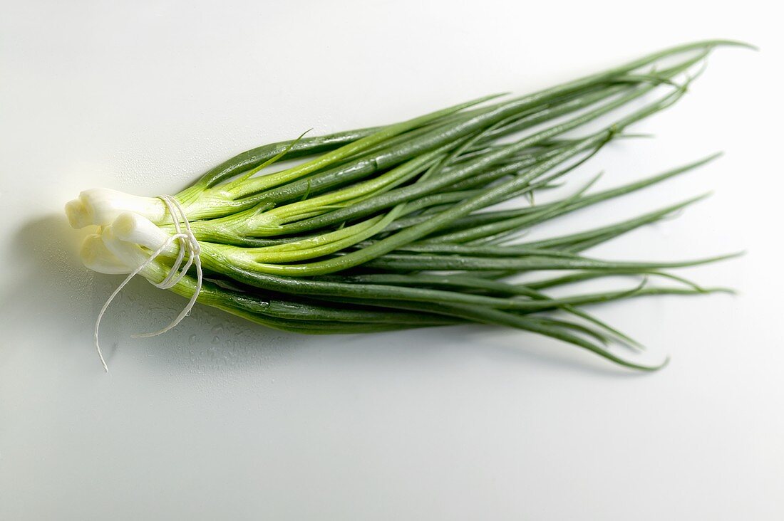 Bunch of Asian spring onions