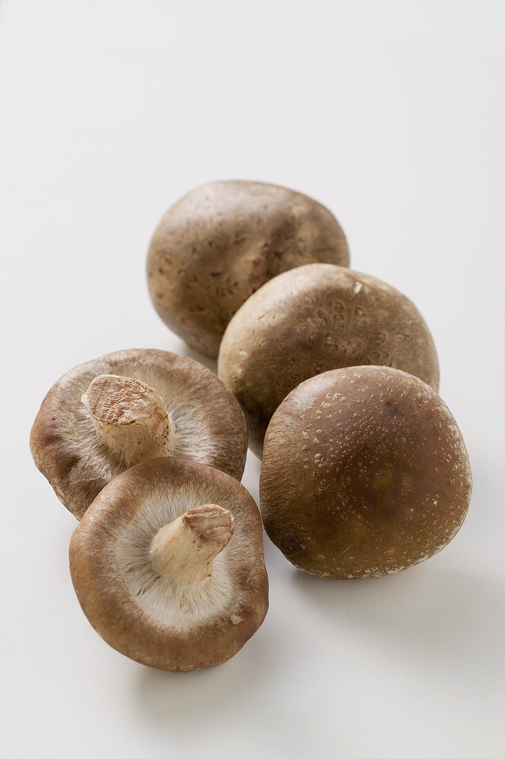 Five shiitake mushrooms