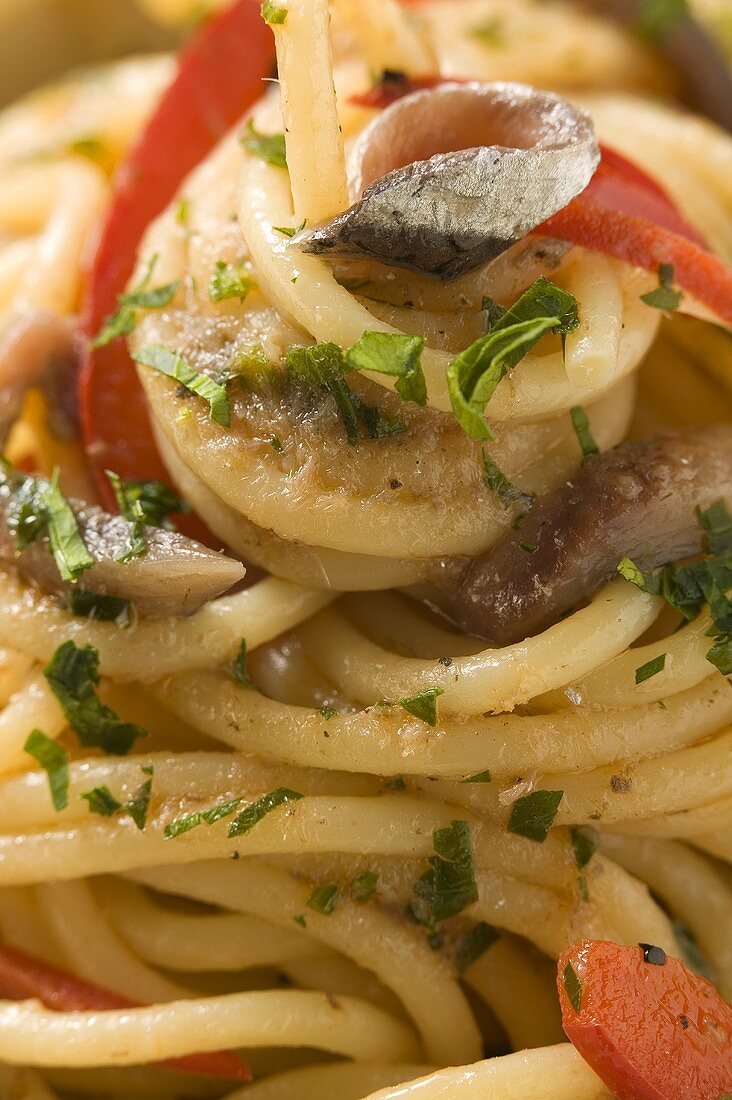 Spaghetti mit Sardellen und Paprika (Close Up)