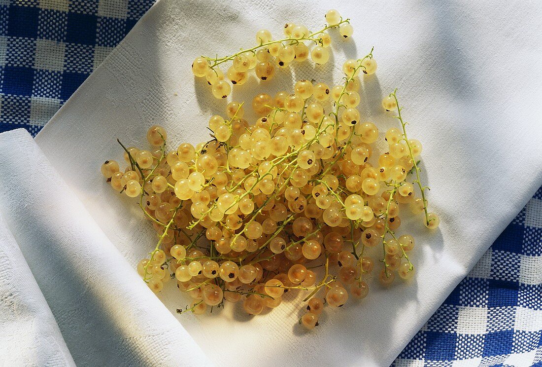 White Currants