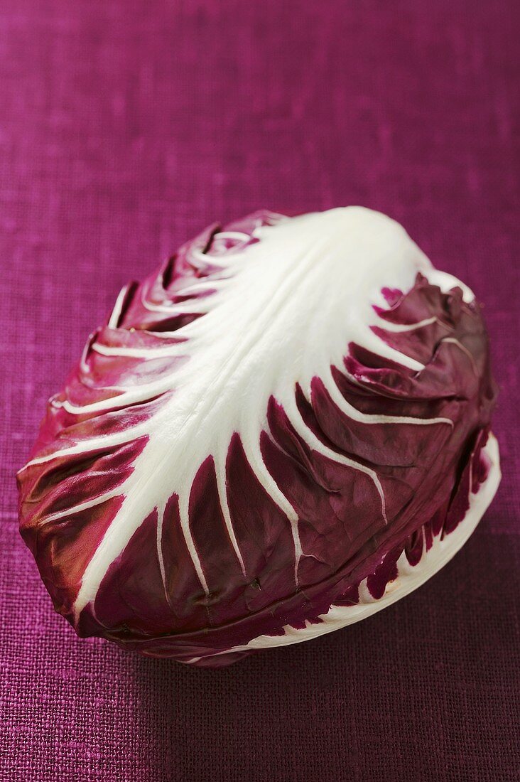 Radicchio on purple background