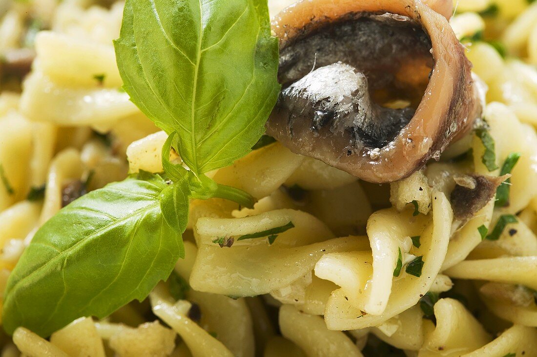 Fusilli with anchovies and basil (close-up)