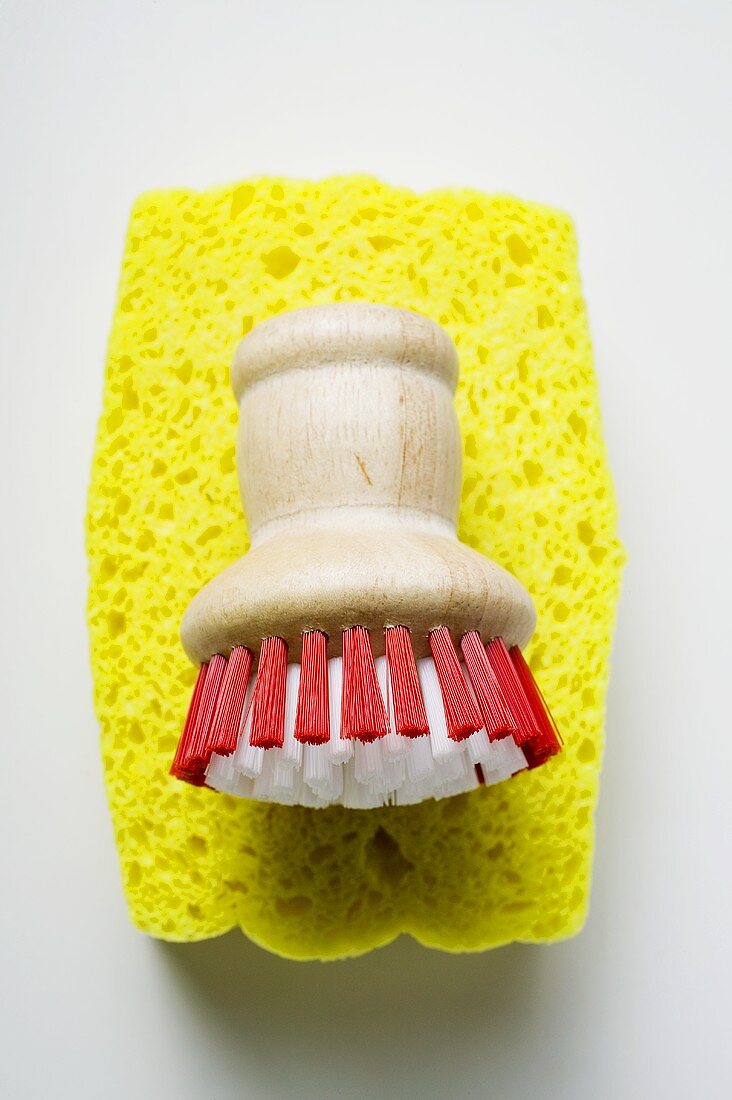 Sponge and brush
