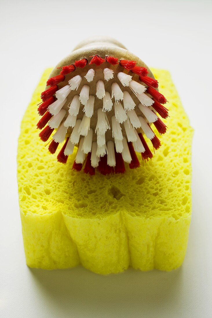 Sponge and brush