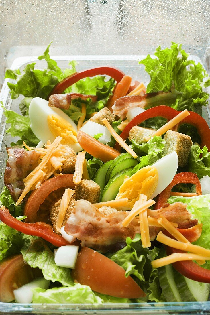 Salad leaves with vegetables, egg, cheese & bacon to take away