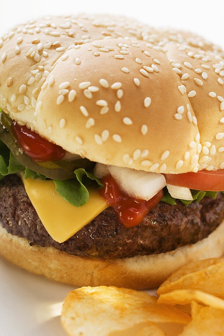 Cheeseburger with potato crisps