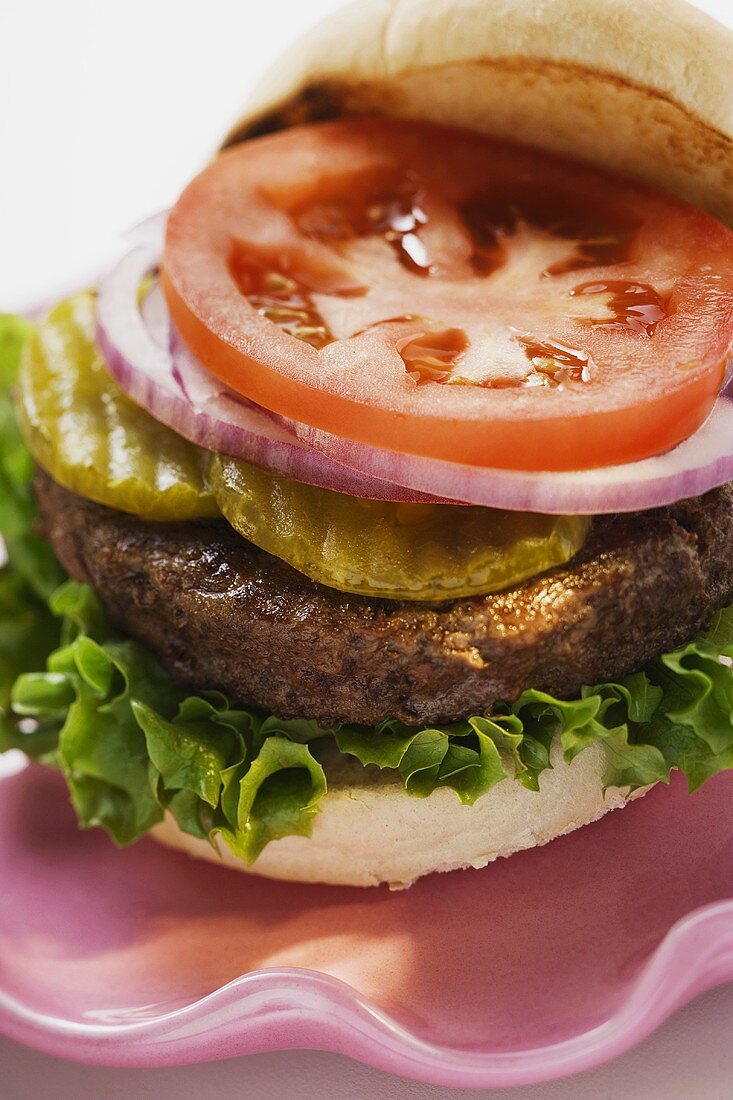 Home-made hamburger with gherkins, onions, tomato