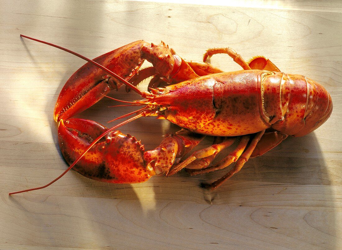 Boiled Lobster on a Cutting Board