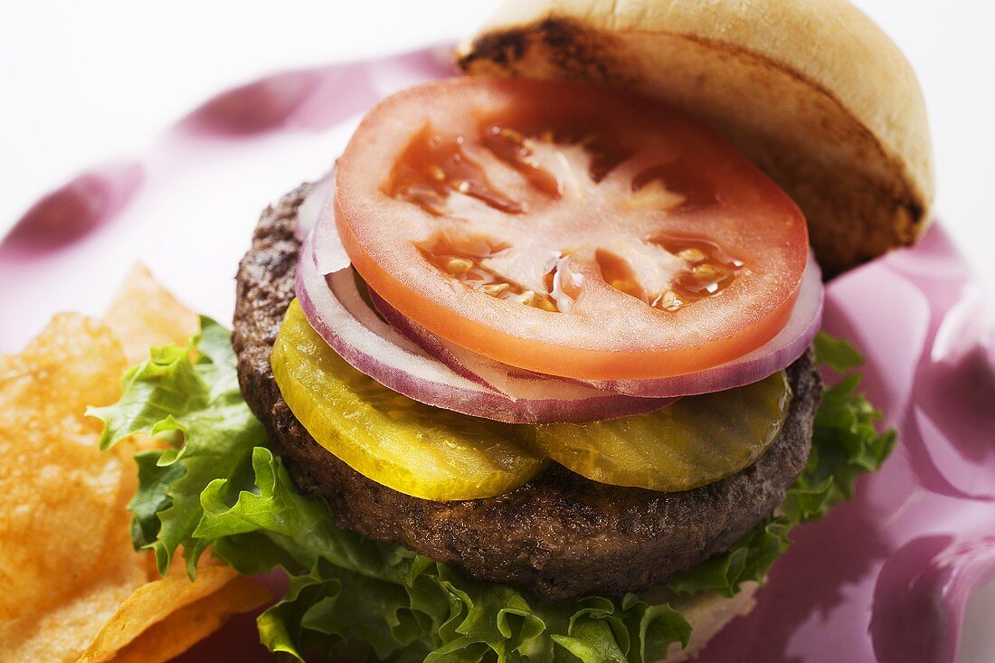 Selbstgemachter Hamburger mit Essiggurken, Zwiebeln, Tomate