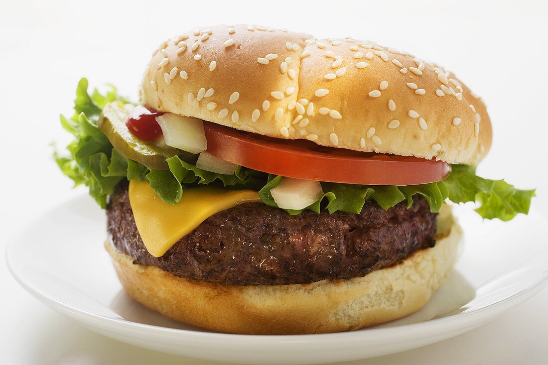 Cheeseburger with tomato, onions and gherkin