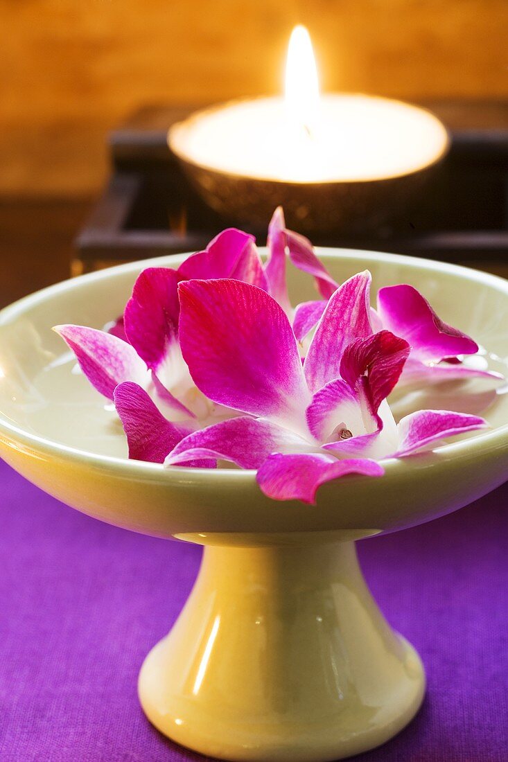 Thailändische Tischdeko: Orchideen in Wasserschale, Kerze