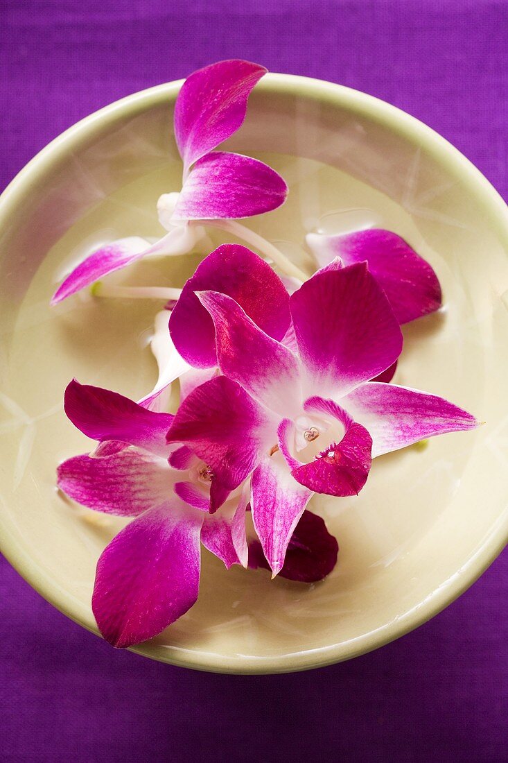 Purple orchids in bowl of water