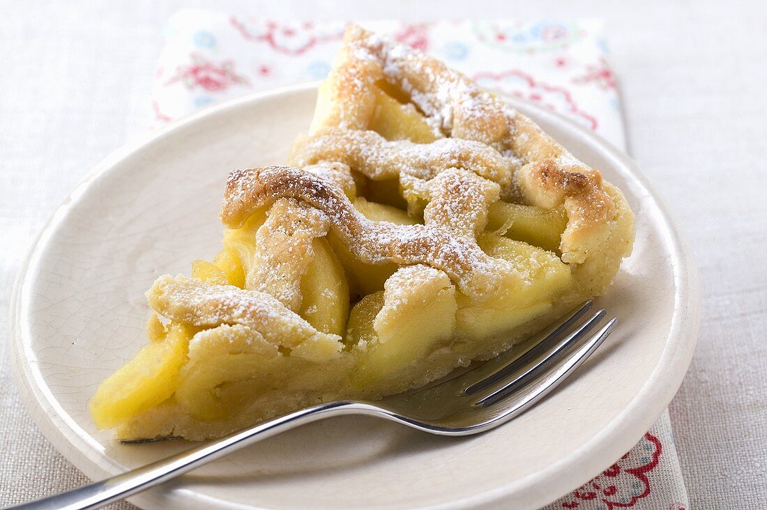 A piece of apple tart with pastry lattice