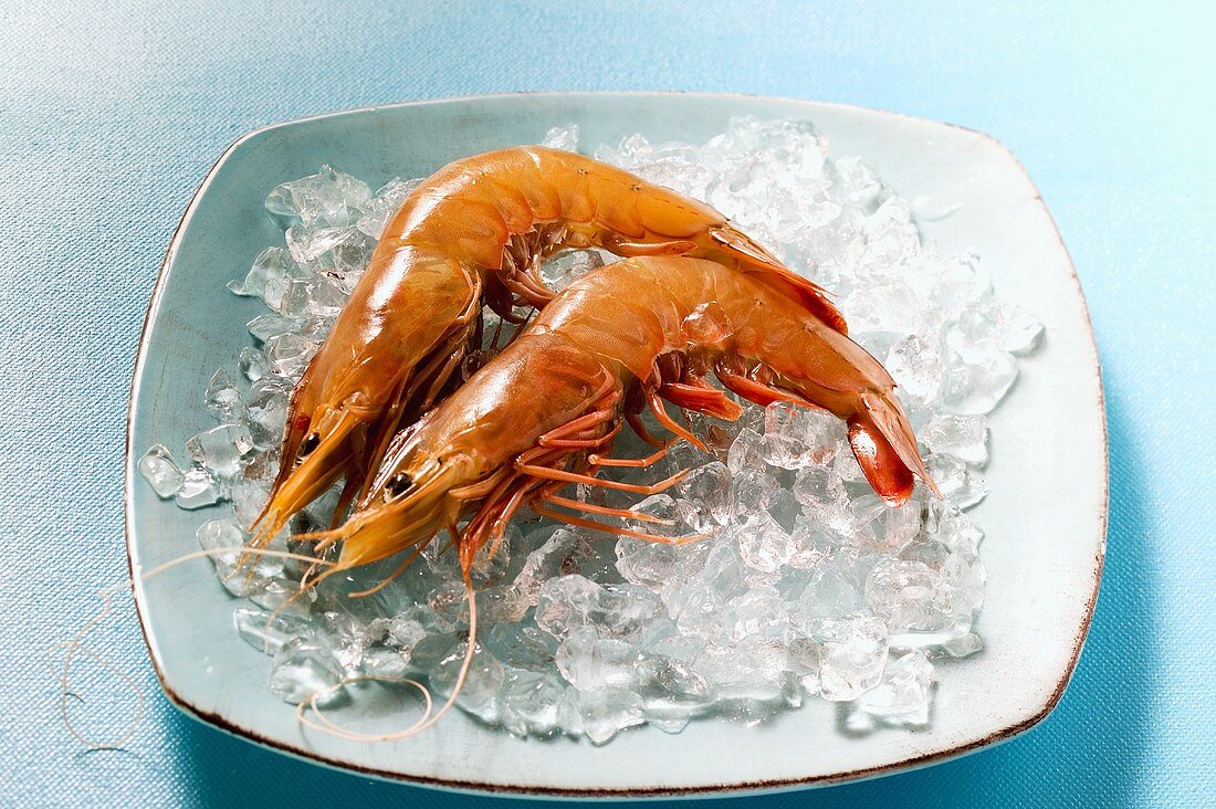 Two cooked shrimps on ice