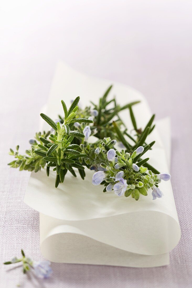 Rosemary with flowers on white cloth