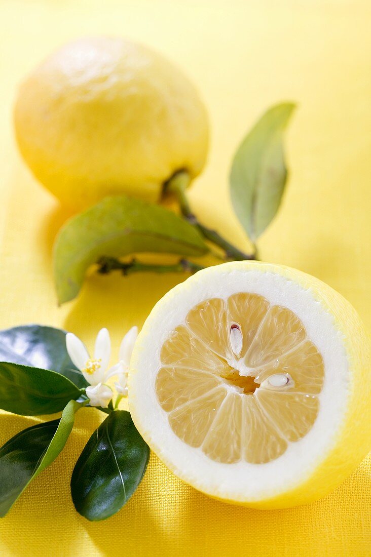 Zitronen mit Blättern und Blüten