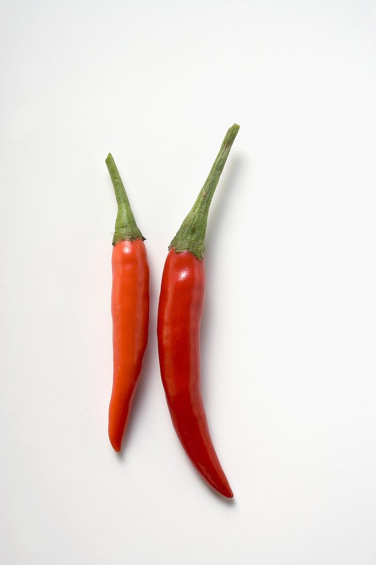 Two red chili peppers