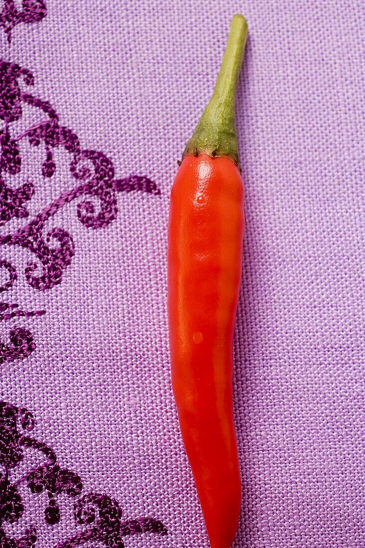 A red chili pepper on purple fabric