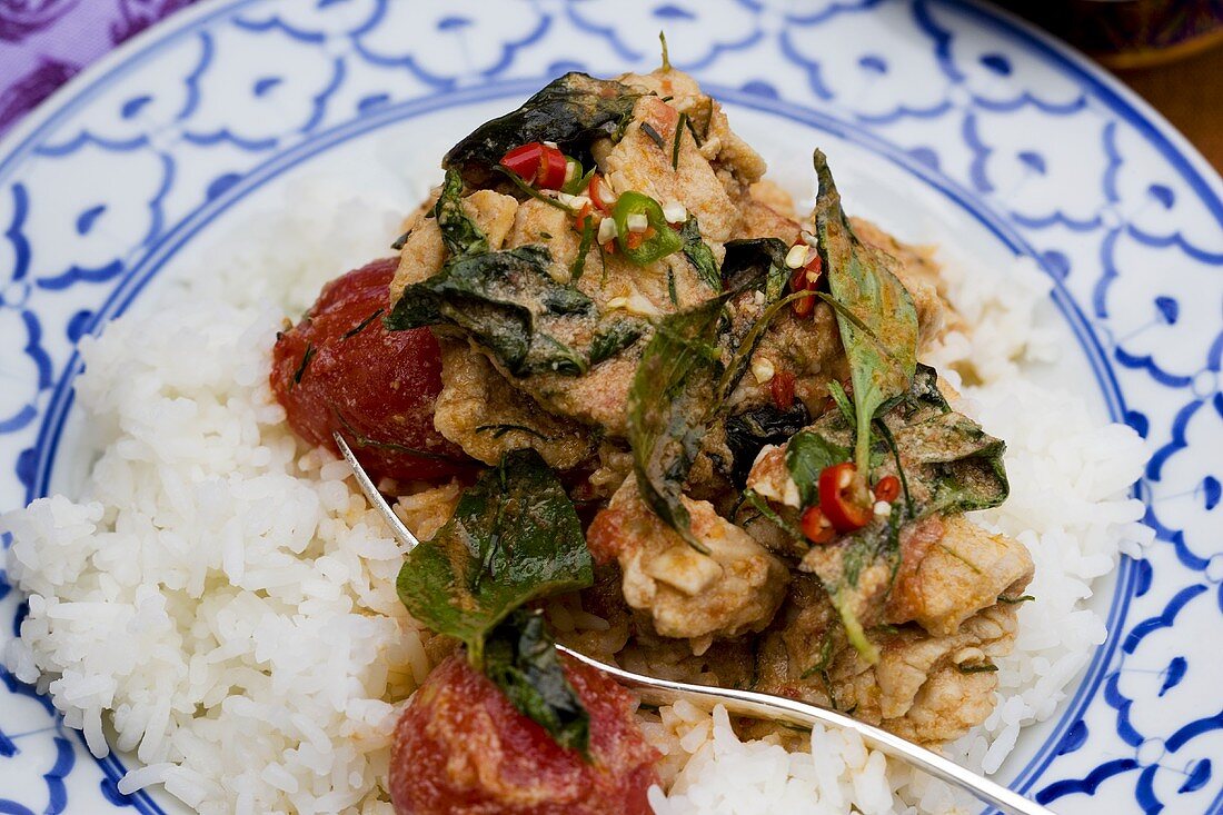 Hähnchencurry mit Reis (Thailand)