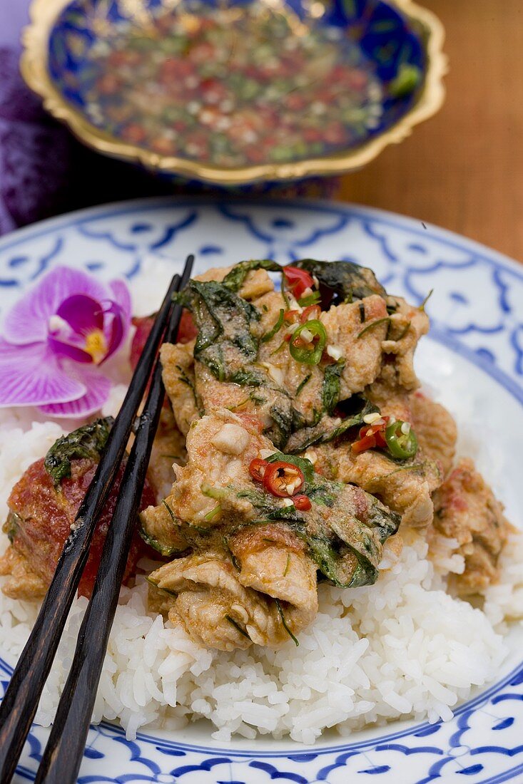 Chicken curry with rice (Thailand)