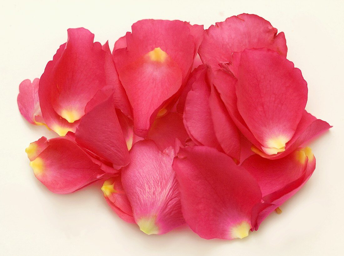 Rosa Rosenblütenblätter