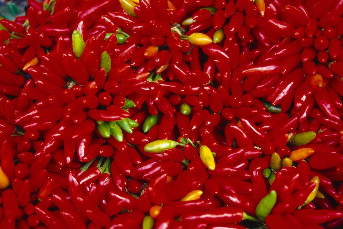 Chili peppers (filling the picture)