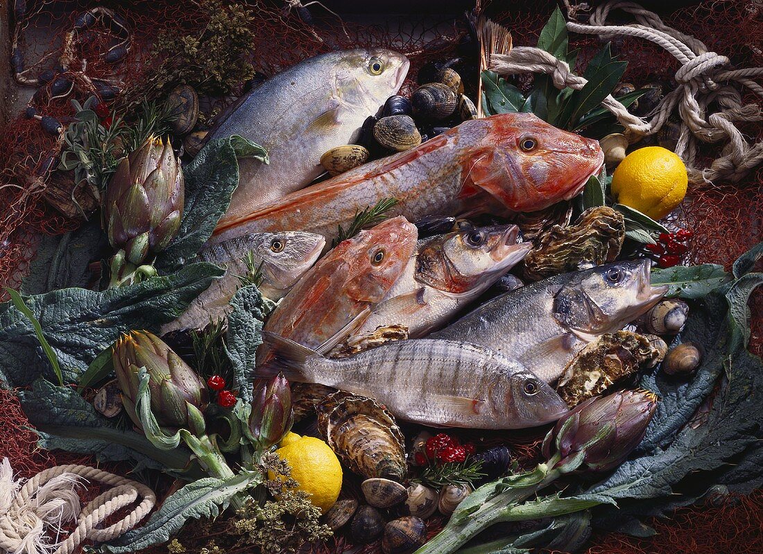 Still life with fish, shellfish and vegetables
