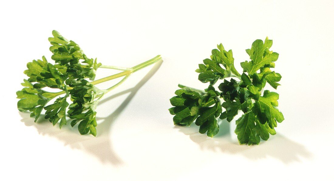 Parsley