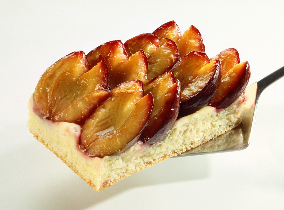 A piece of tray-baked plum cake on cake slice