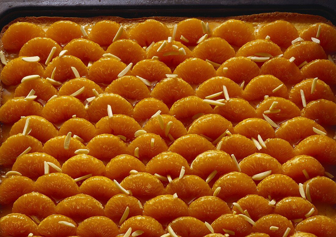 Mandarinen-Blechkuchen
