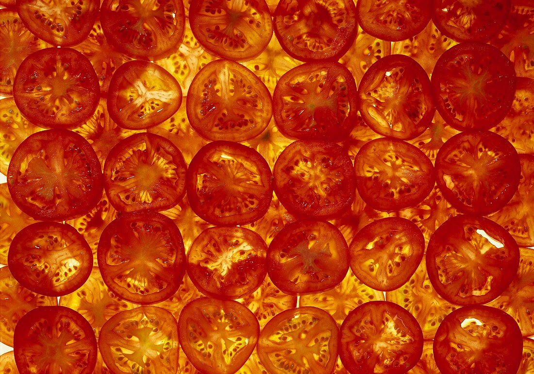 Tomato slices illuminated from below