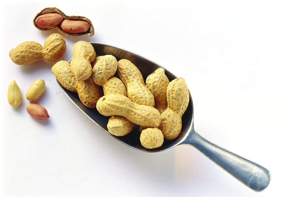 Peanuts on and beside a scoop