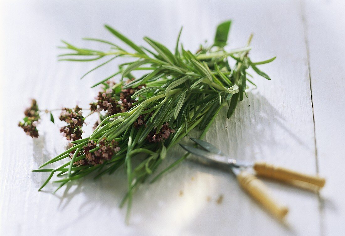 A bunch of rosemary and a pair of scissors